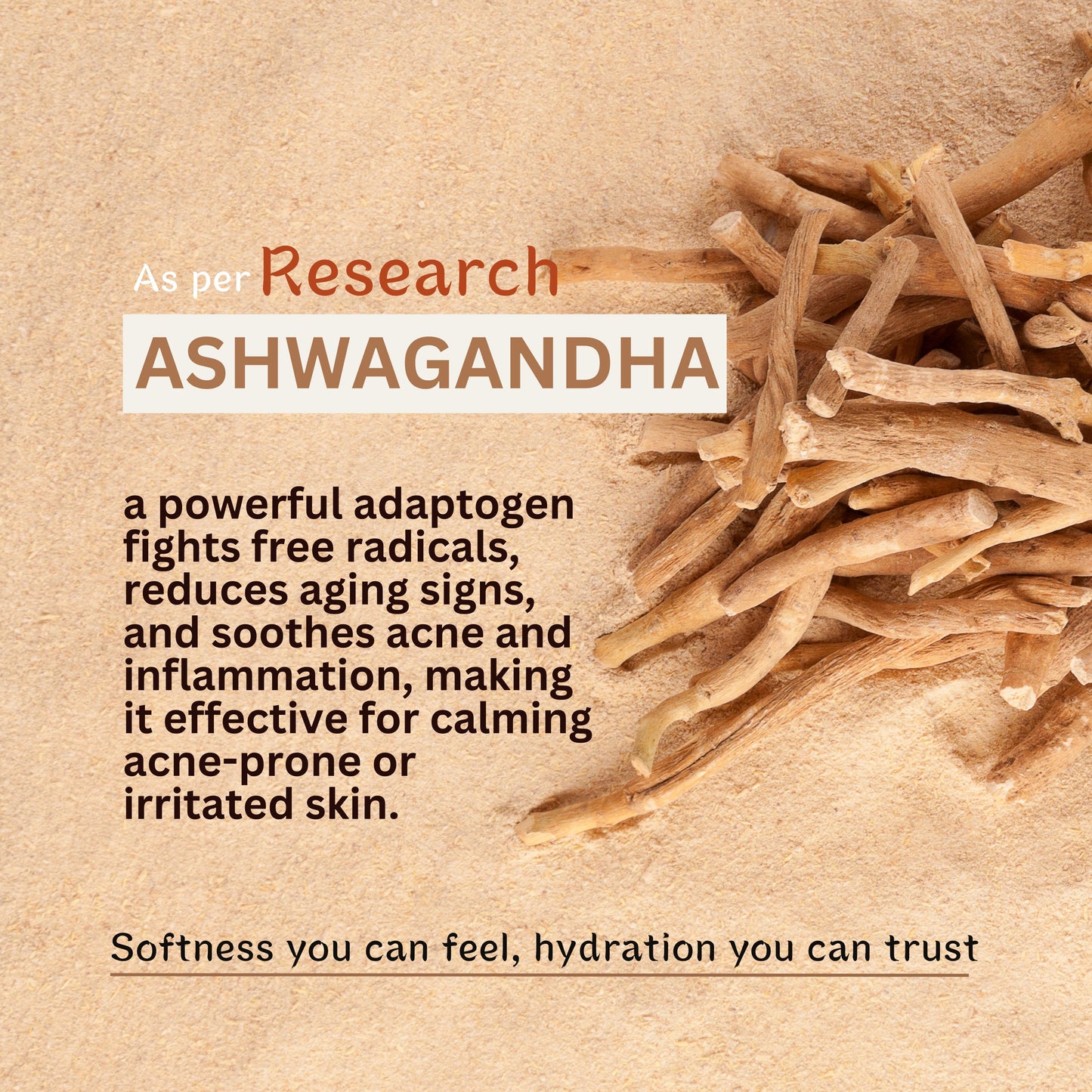 Natural Ashwagandha Milk Malai Body Lotion