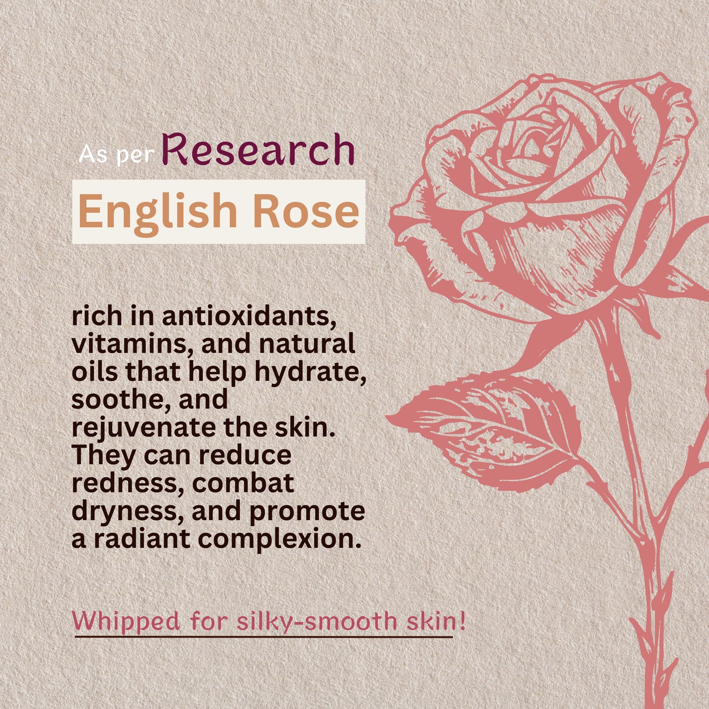 Natural English Rose Shea Body Butter