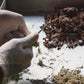 Hibiscus Amla Methi Hair Oil