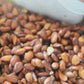 Almond Hair Oil